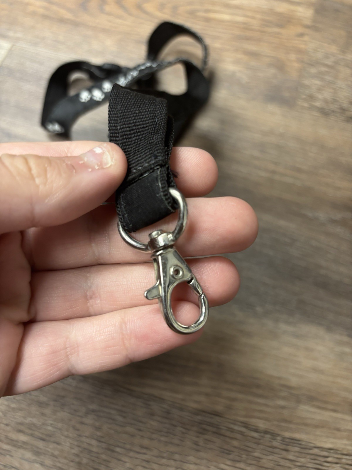 Nintendogs 🐶 Nintendo DS Employee Promotional Lanyard