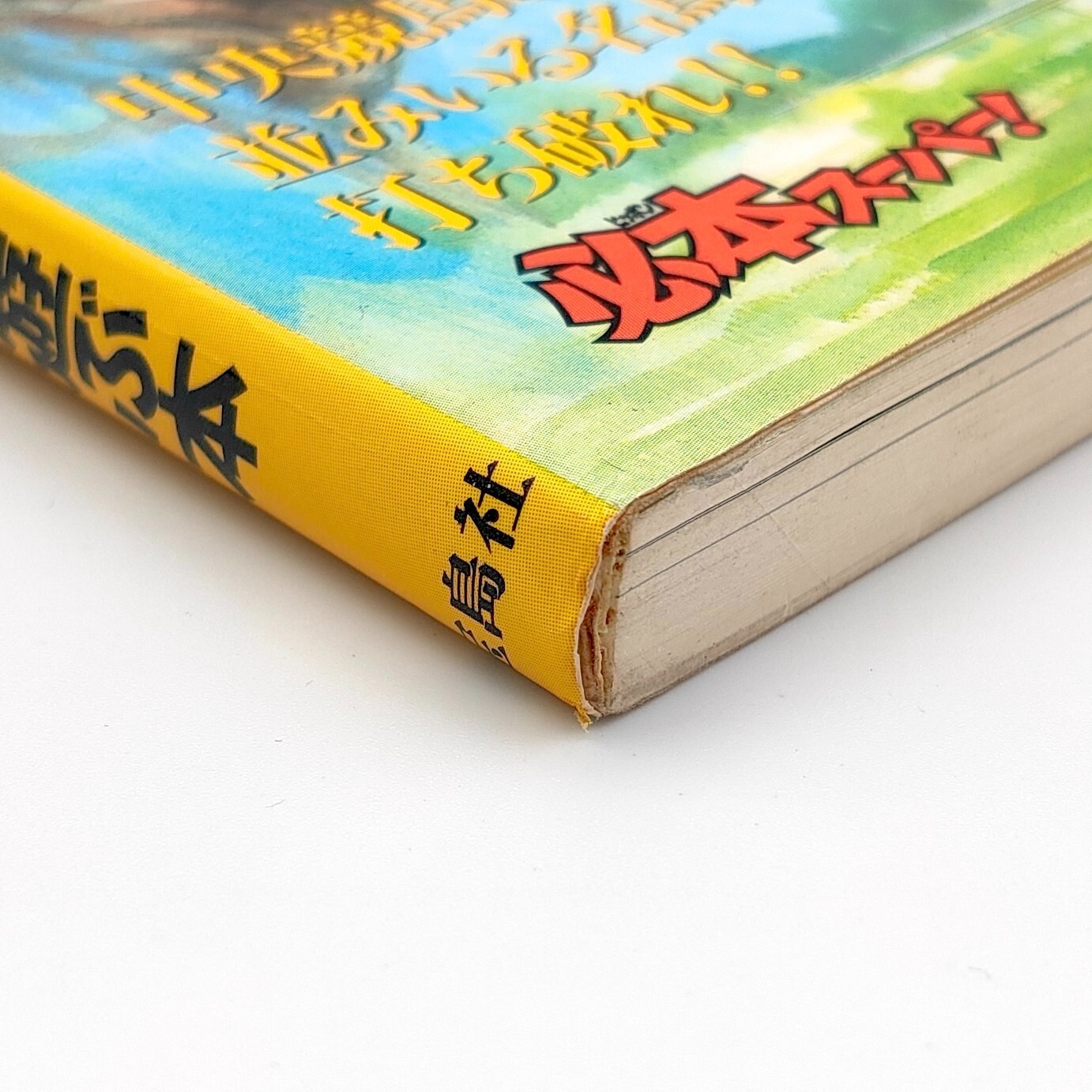Thoroughbred Breeder 2 A book to play 100 times Guide Nintendo Super Famicom SFC