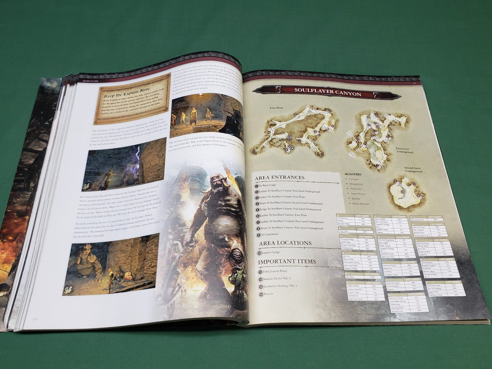Capcom Dragon’s Dogma Official Strategy Guide BradyGames