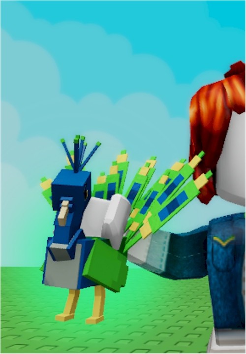 Tiny Peacock Age 100 ‼️🌱🪴Grow A Garden🌿⚡CHEAPEST ‼️⚡FAST DELIVERY‼️