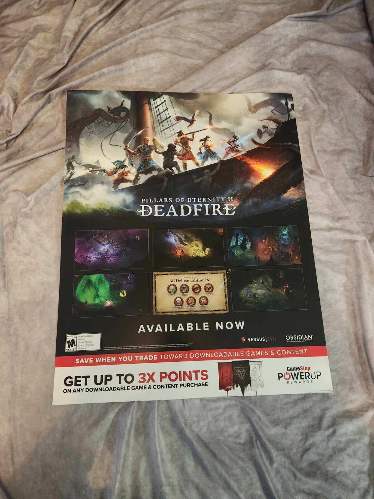 Pillars of Eternity II 2 Deadfire GameStop Preorder Video Game Poster 22×28