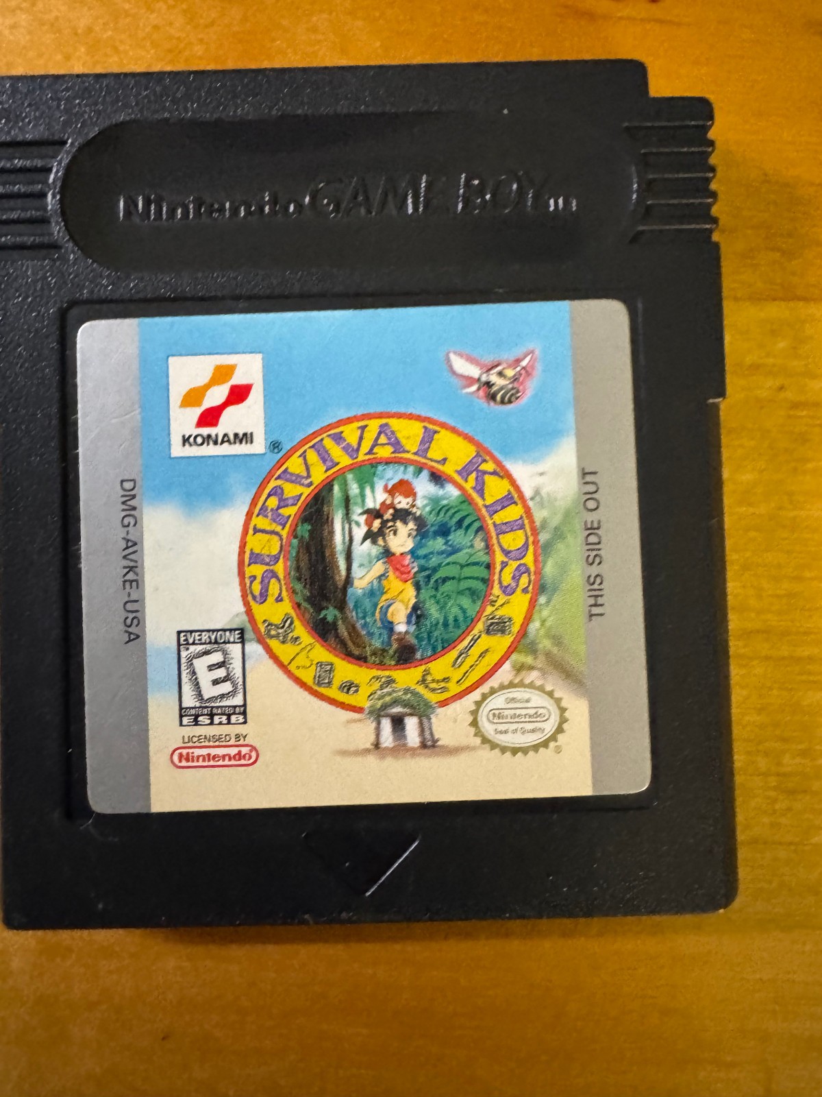 Survival Kids, Gameboy Color GBC, American Version AUTHENTIC GOOD BATTERY