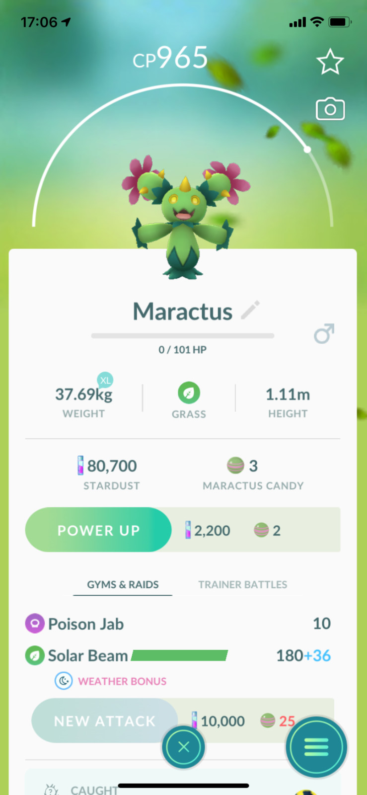 Pokemon TRADE – Maractus !! Regional Pokemon ! Safe, Cheap & Fast !