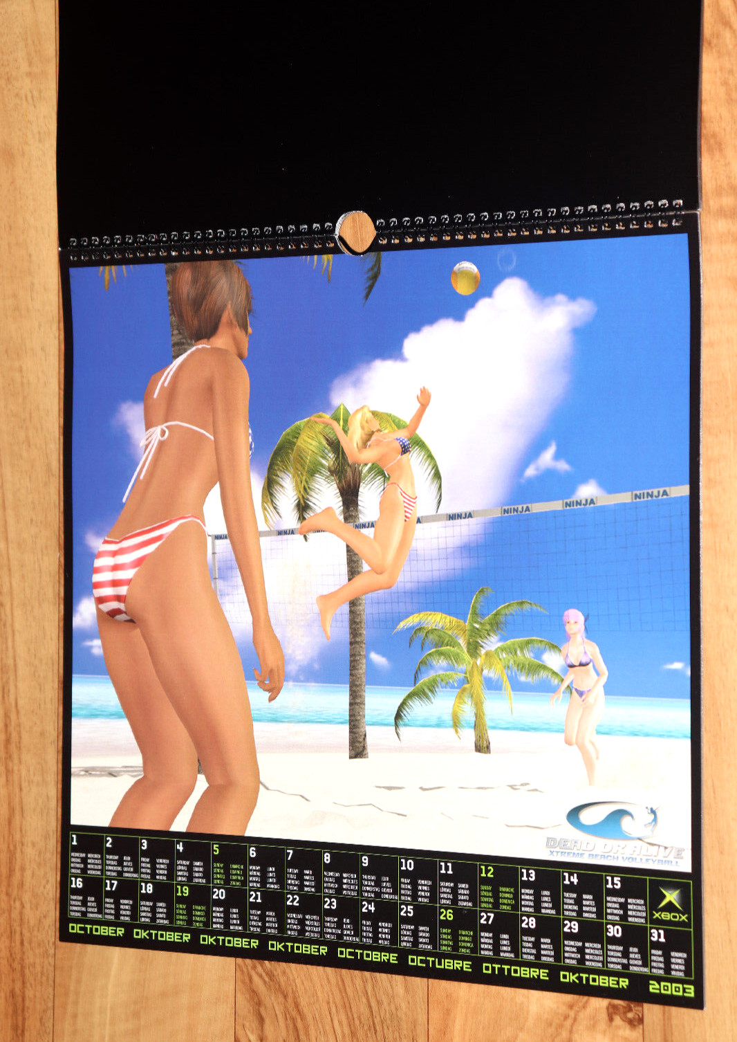 2003 Dead or Alive Xtreme Beach Volleyball Very Rare Calendar Collectible