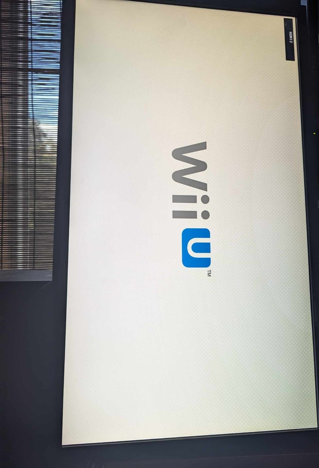 Nintendo WiiU wii u 32GB System Console froze at start up