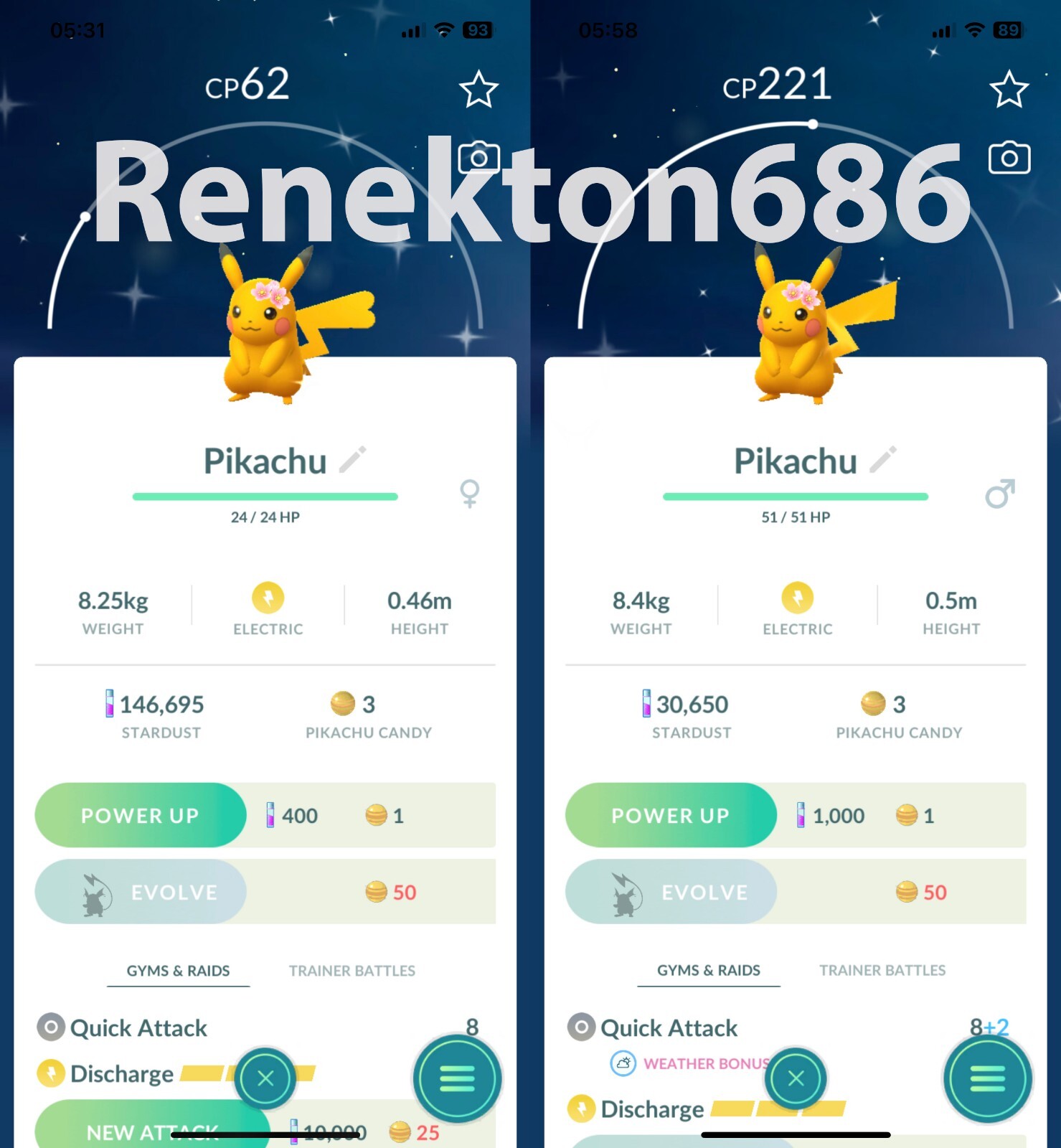 Shiny Pikachu adorned cherry blossoms Male Female – PTCs – Read Description