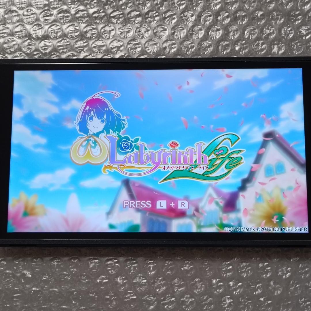 Omega Labyrinth Life Game Cartridge Nintendo Switch RPG English Text D3PUBLISHER