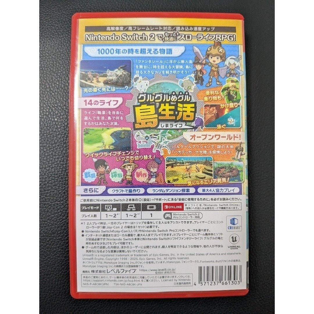 Fantasy Life i The Girl Who Steals Time Nintendo Switch 2 Game Multilingual 2025
