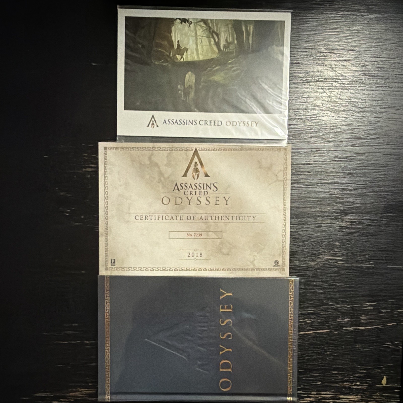 Assassin’s Creed Odyssey Collector’s Edition Guide & Certificate of Authenticity