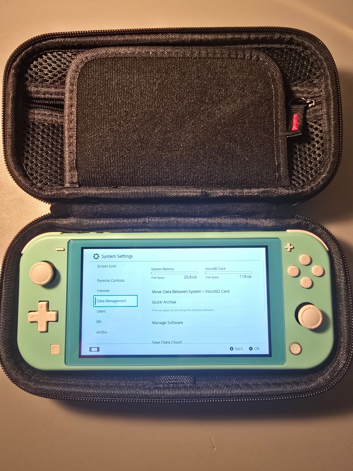 Nintendo Switch Lite – Handheld Console System + Charger + 128GB SD Card + Case