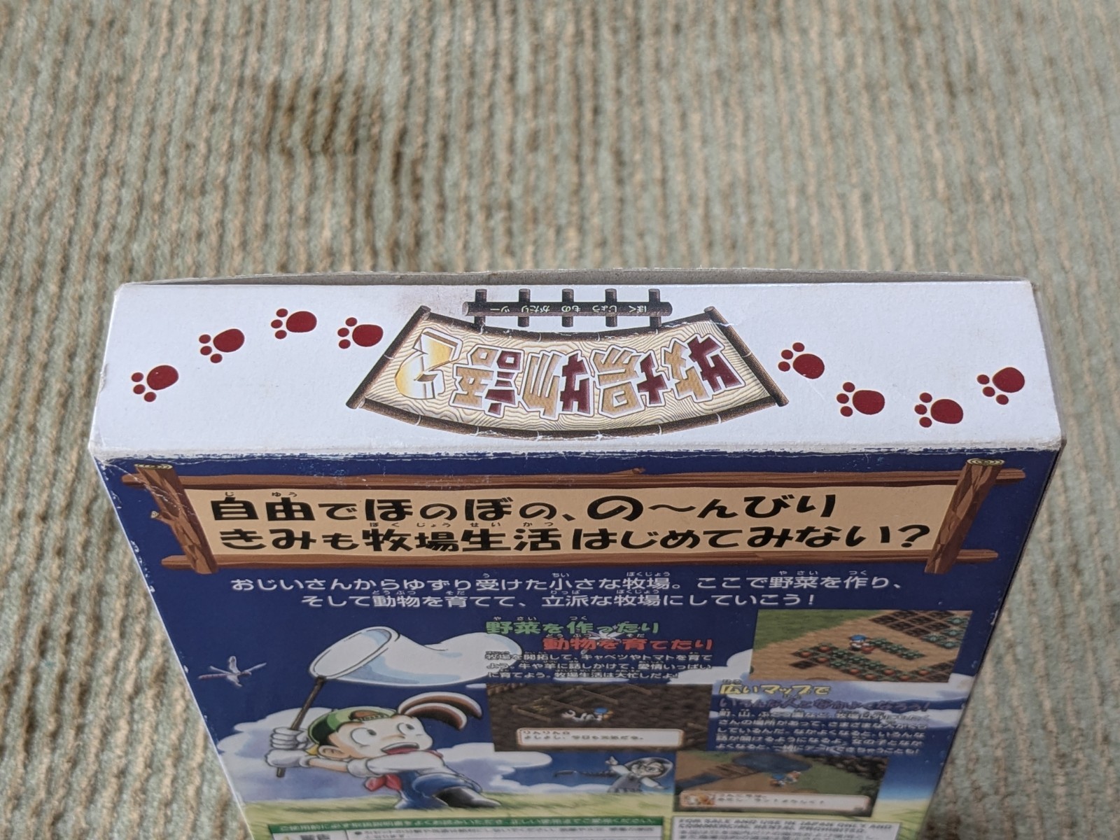 Harvest Moon 2 Bokujou Monogatari Japanese Nintendo 64 N64 Complete US SELLER