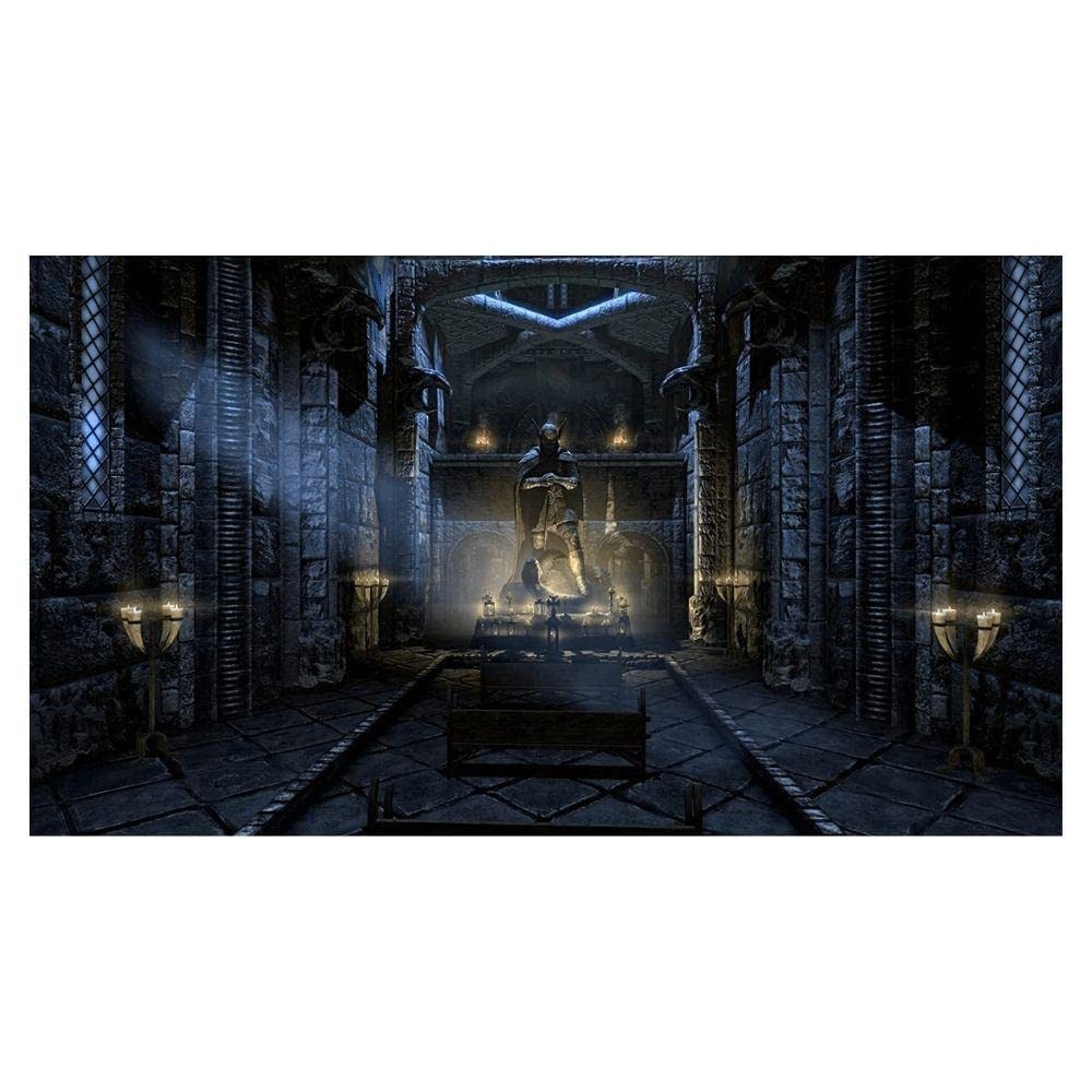 The Elder Scrolls V: Skyrim Anniversary Edition – Playstation 4 – Brand New