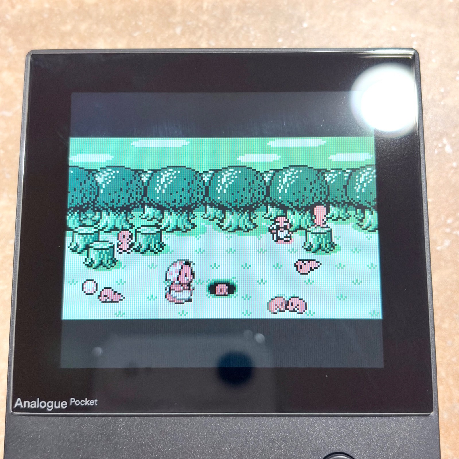 Nintendo Game Boy Mole Mania REGION FREE Moguranya Japan TESTED Authentic OEM!