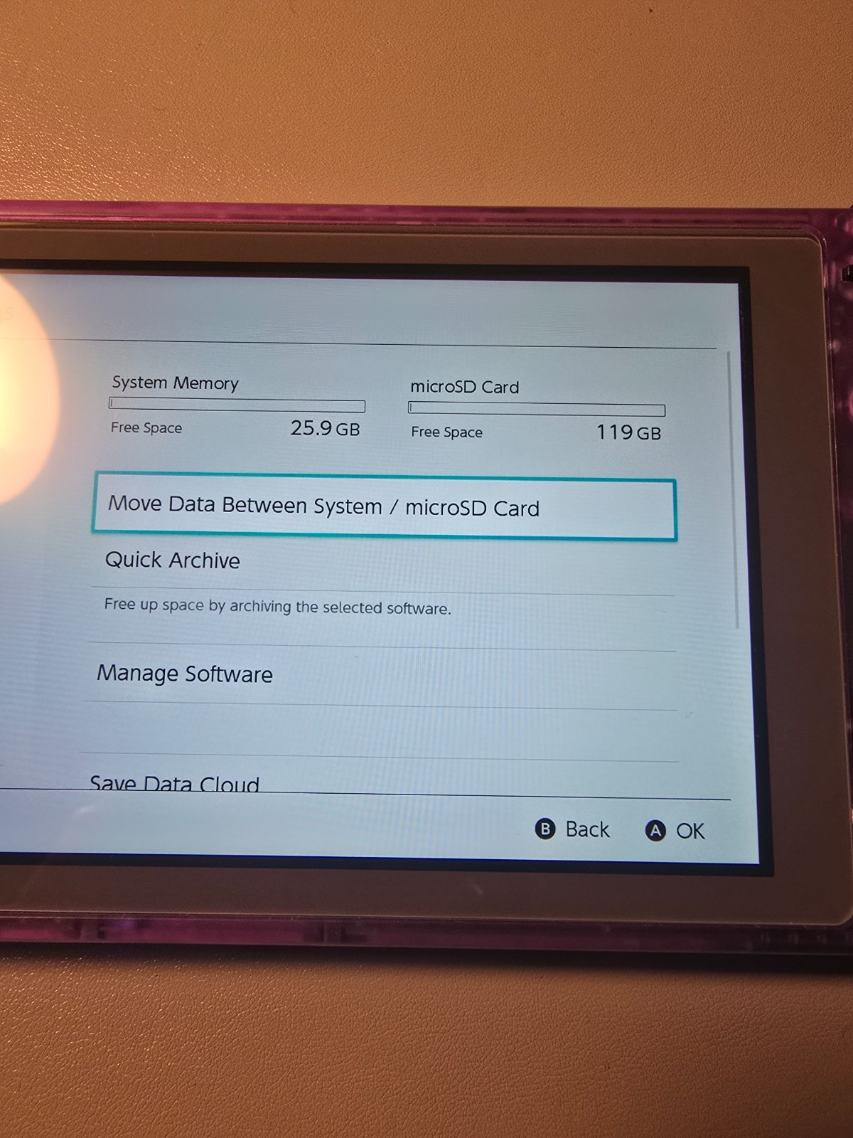 Nintendo Switch Lite – Handheld Console System + Charger + 128GB SD Card