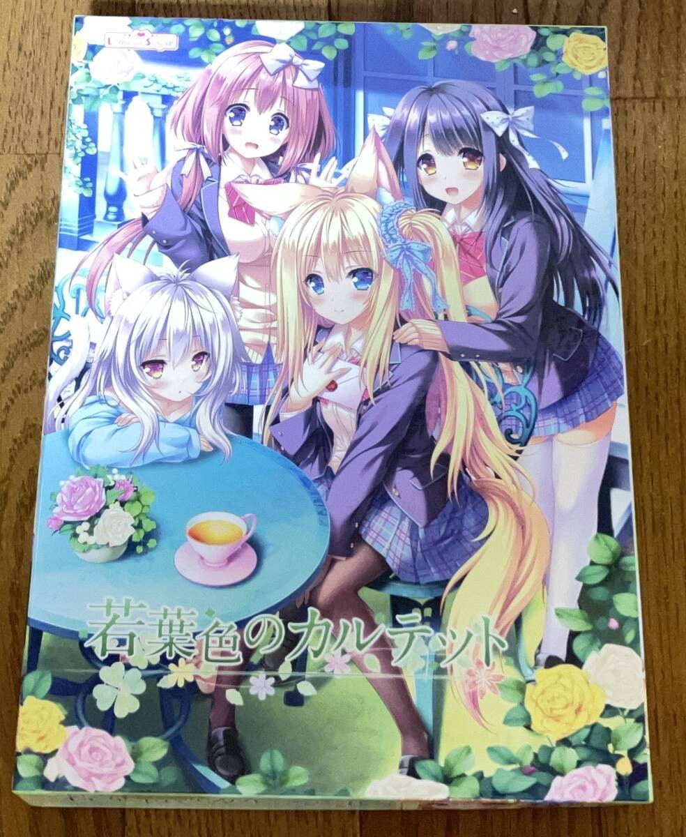 Wakaba-iro no Quartet First Limited Japanese VN PC Game for Windows USED