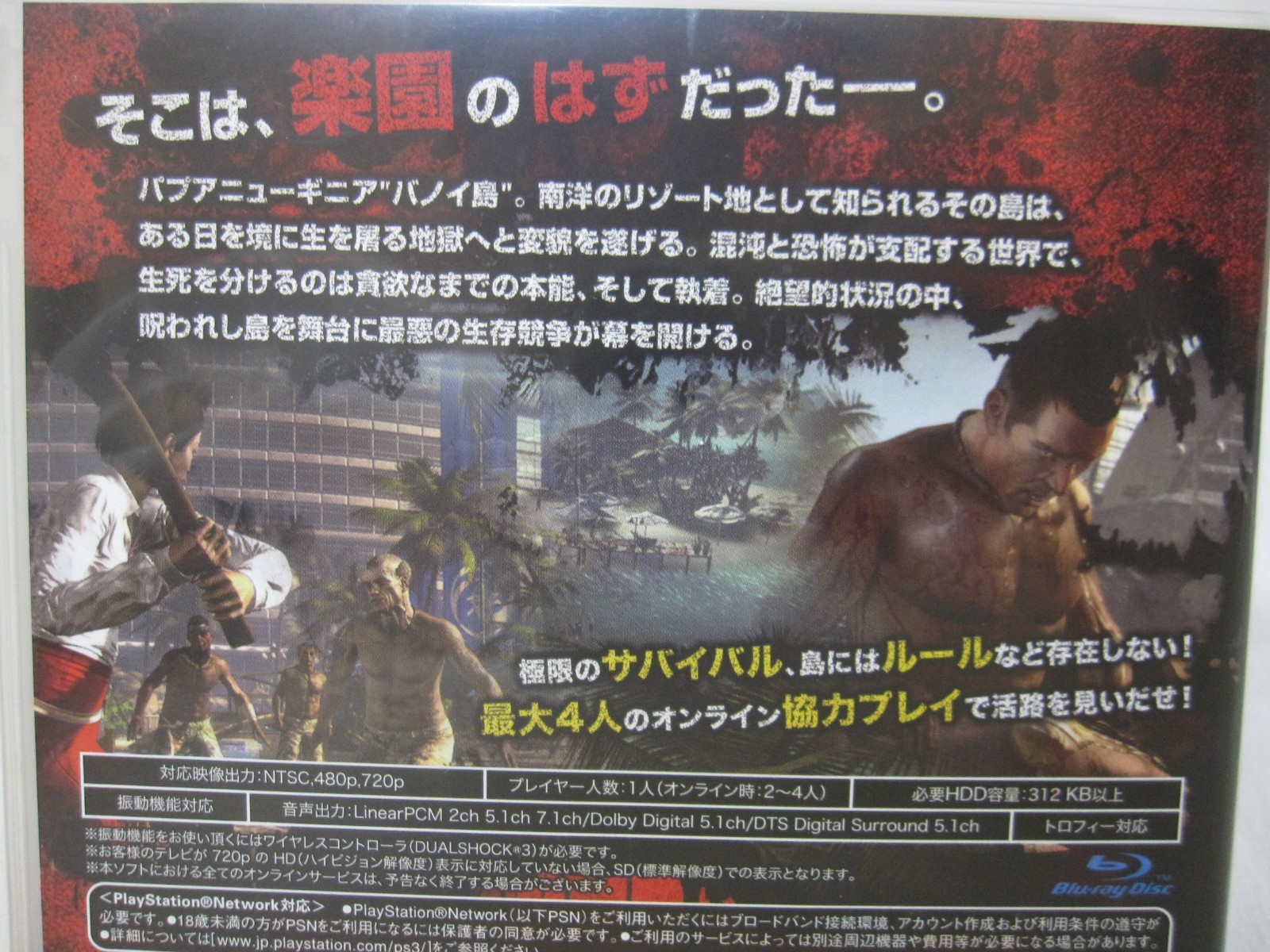 W/Tracking 7-14 Days to USA. USED PS3 English Ready Dead Island Japanese Version
