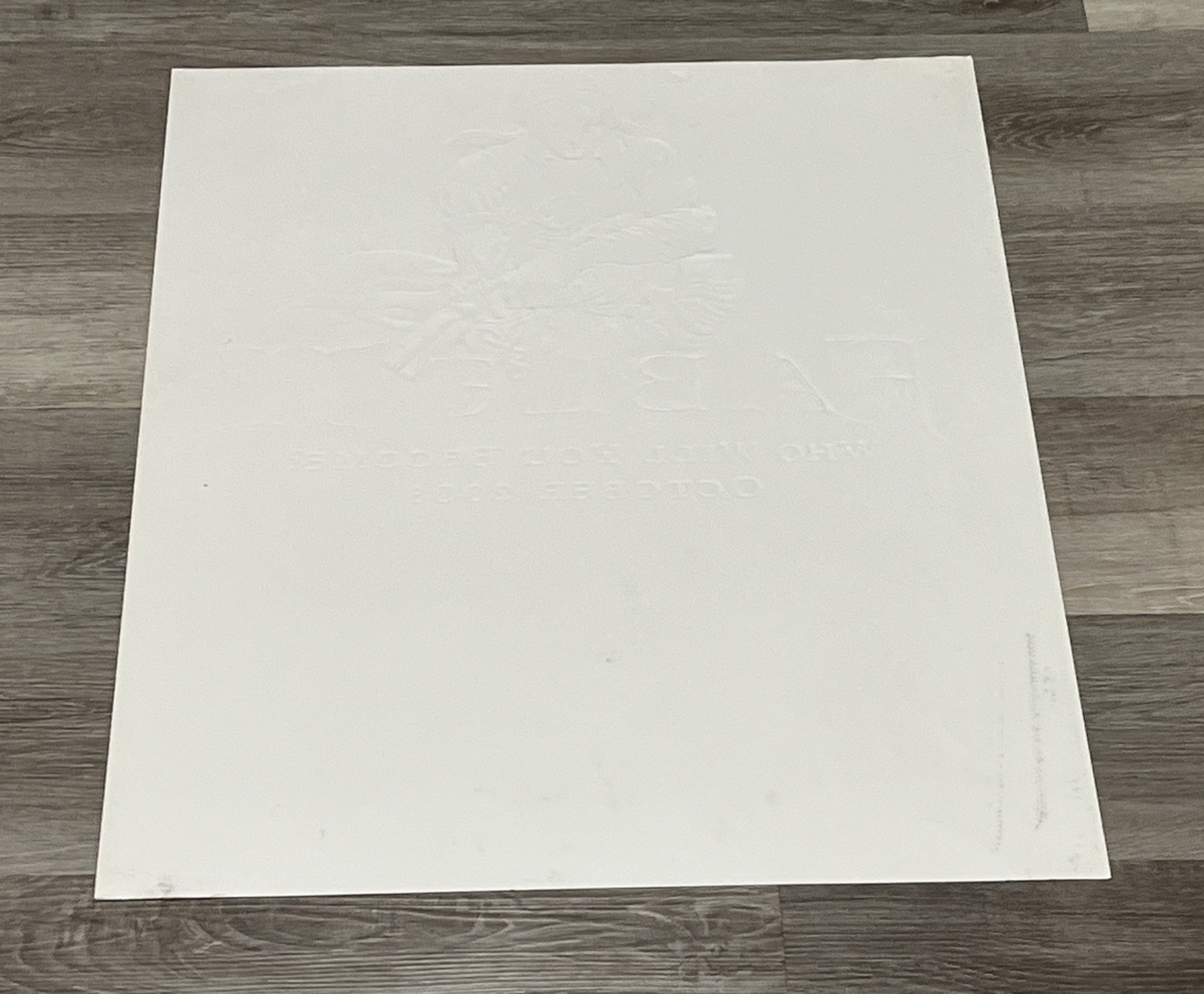 Fable II XBox360 Vintage GameStop VideoGame Embossed Retail Promo Poster 28”x22”
