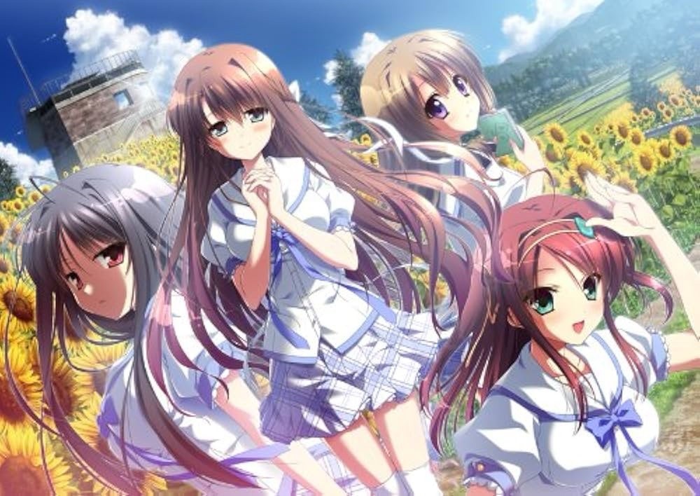 Natsuzora no Perseus Deluxe Edition PC Game Japanese PC Game Windows7/8 New