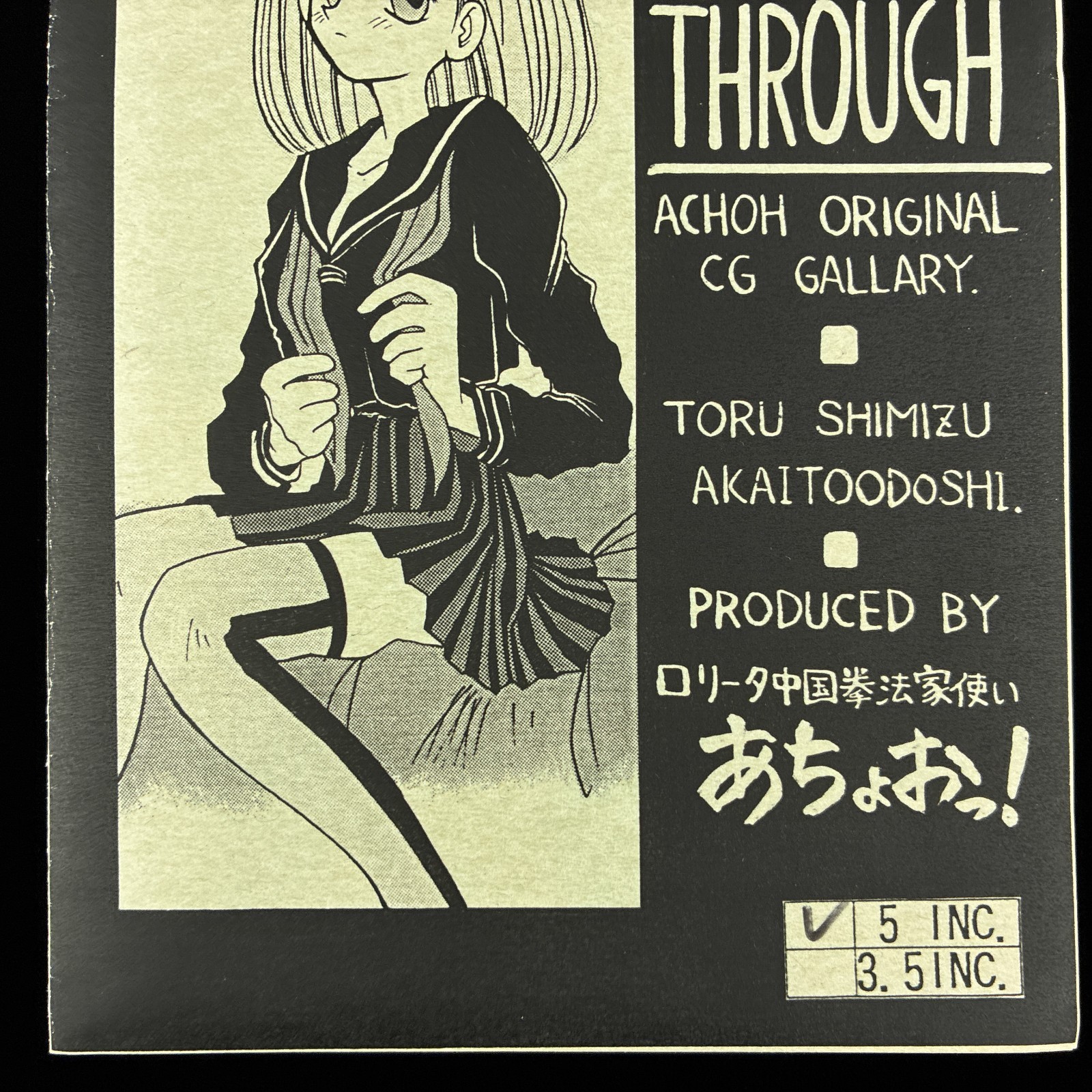 Achoo!! SEE THROUGH PC-98 X68000 Doujin CG Collection Digital Artbook Japan