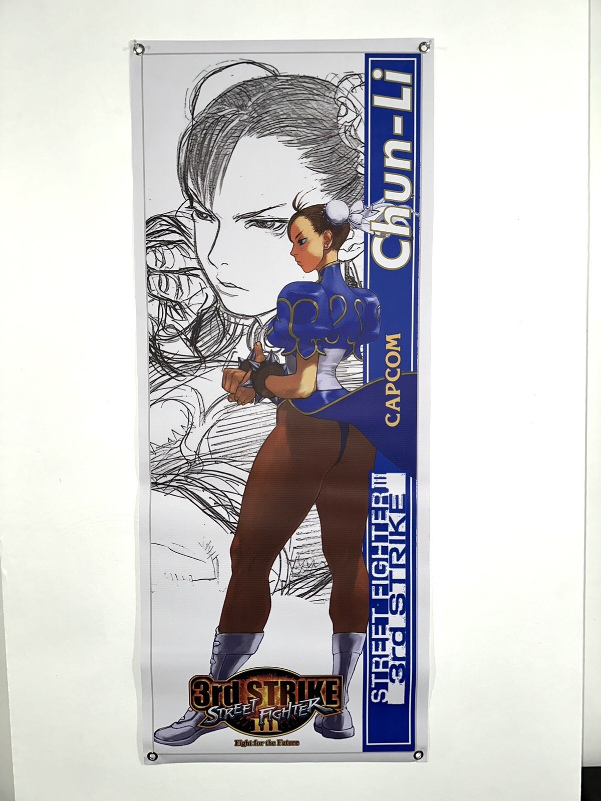 Street Fighter Third Strike Chun Li Banner 20”x50” CPS3 capcom arcade poster