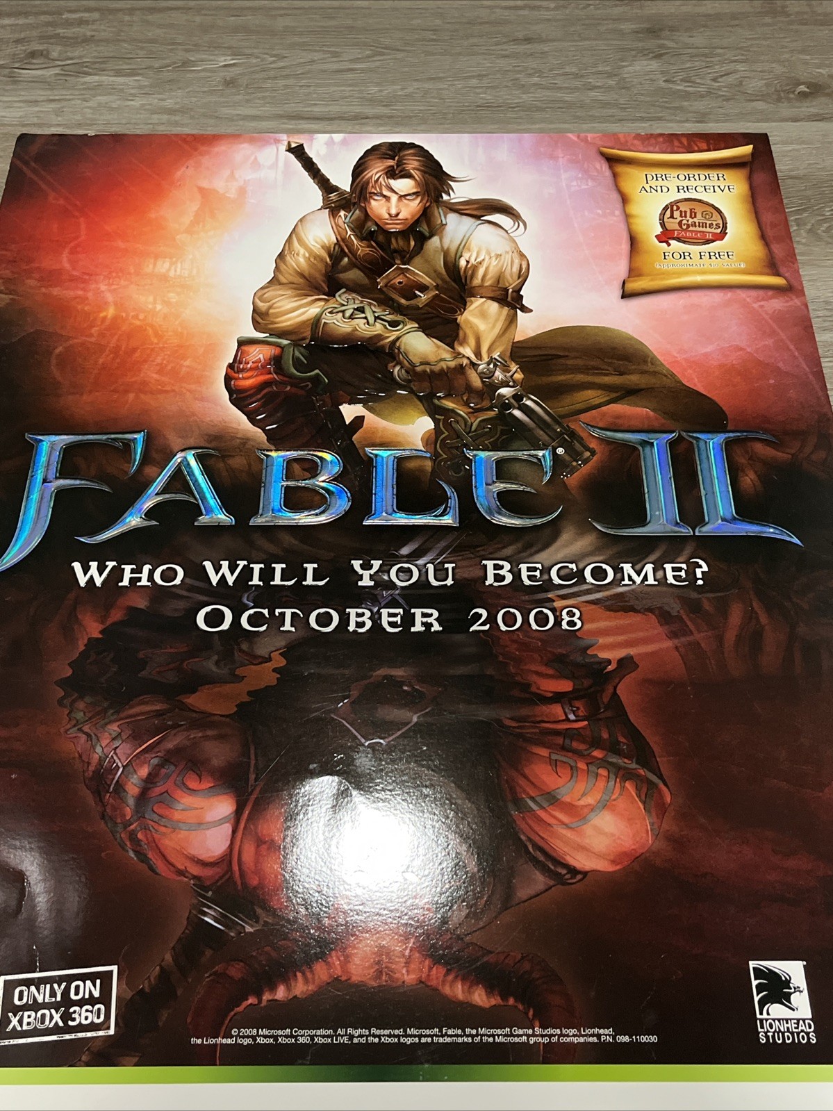 Fable II XBox360 Vintage GameStop VideoGame Embossed Retail Promo Poster 28”x22”