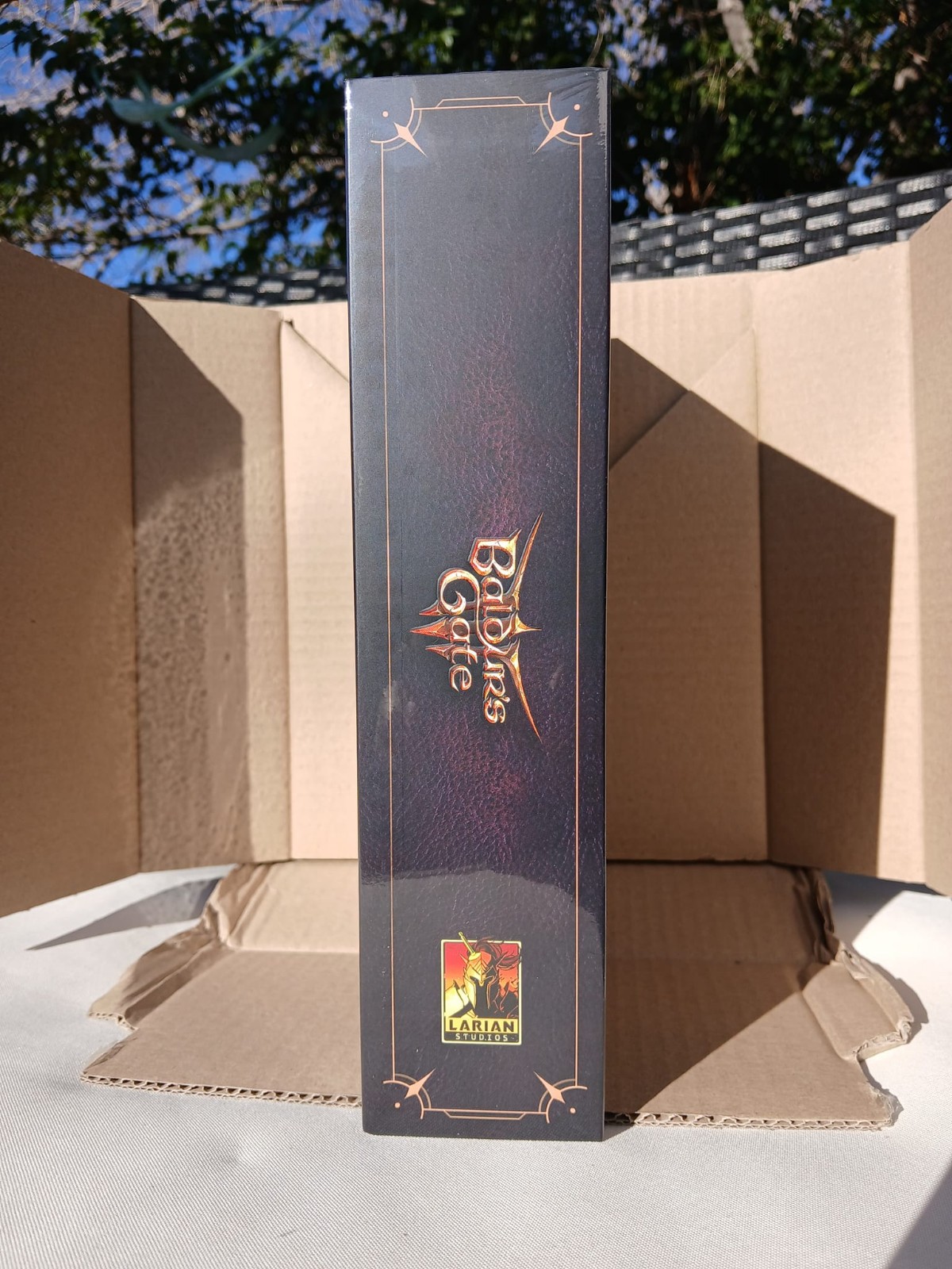 Baldur’s Gate 3 Physical Deluxe Edition Big-Box Limited Exclusive English – Xbox