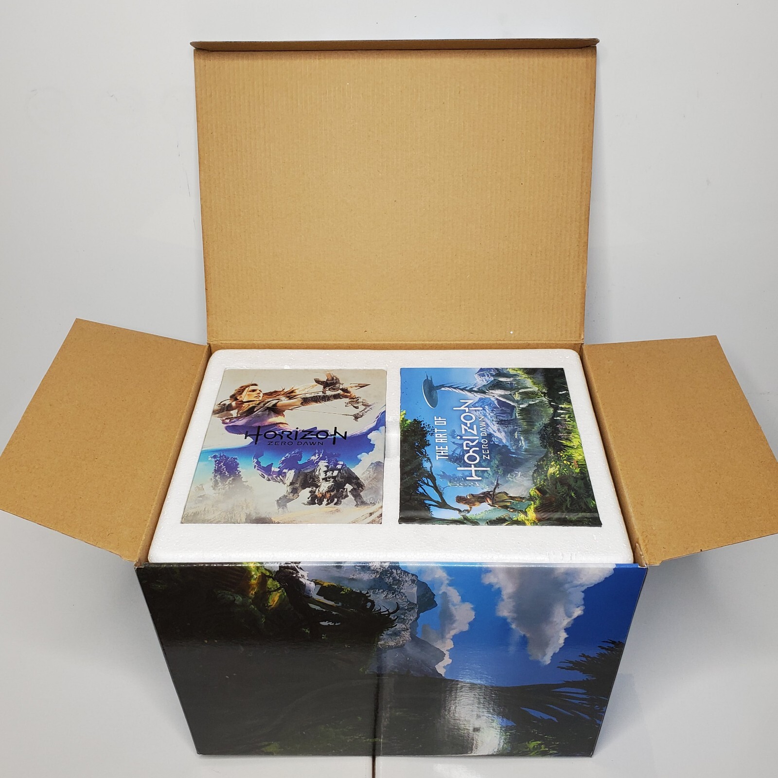 Horizon Zero Dawn : Aloy Collector’s Edition