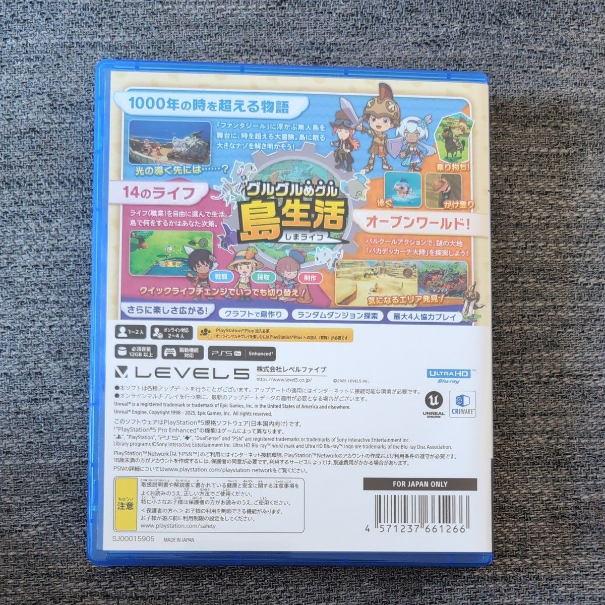 Fantasy Life i The Girl Who Steals Time PS5 Role-Playing Game Level 5 Used Teste