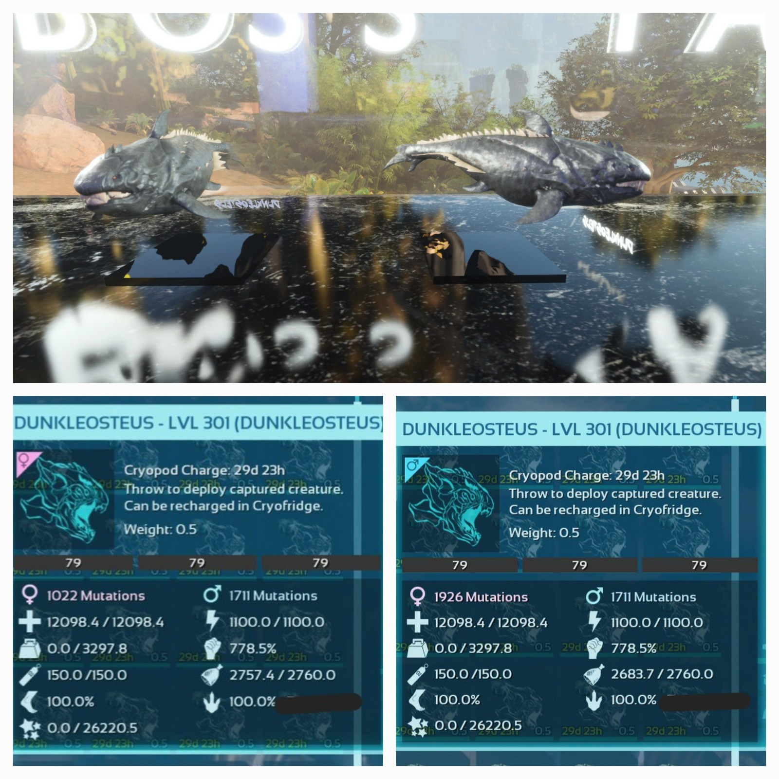 ARK ASA PVE OFFICIAL PAIR DUNK BLACK #79 ADULT 100% IMP. HIGH STATUS PC/XBOX/PS5