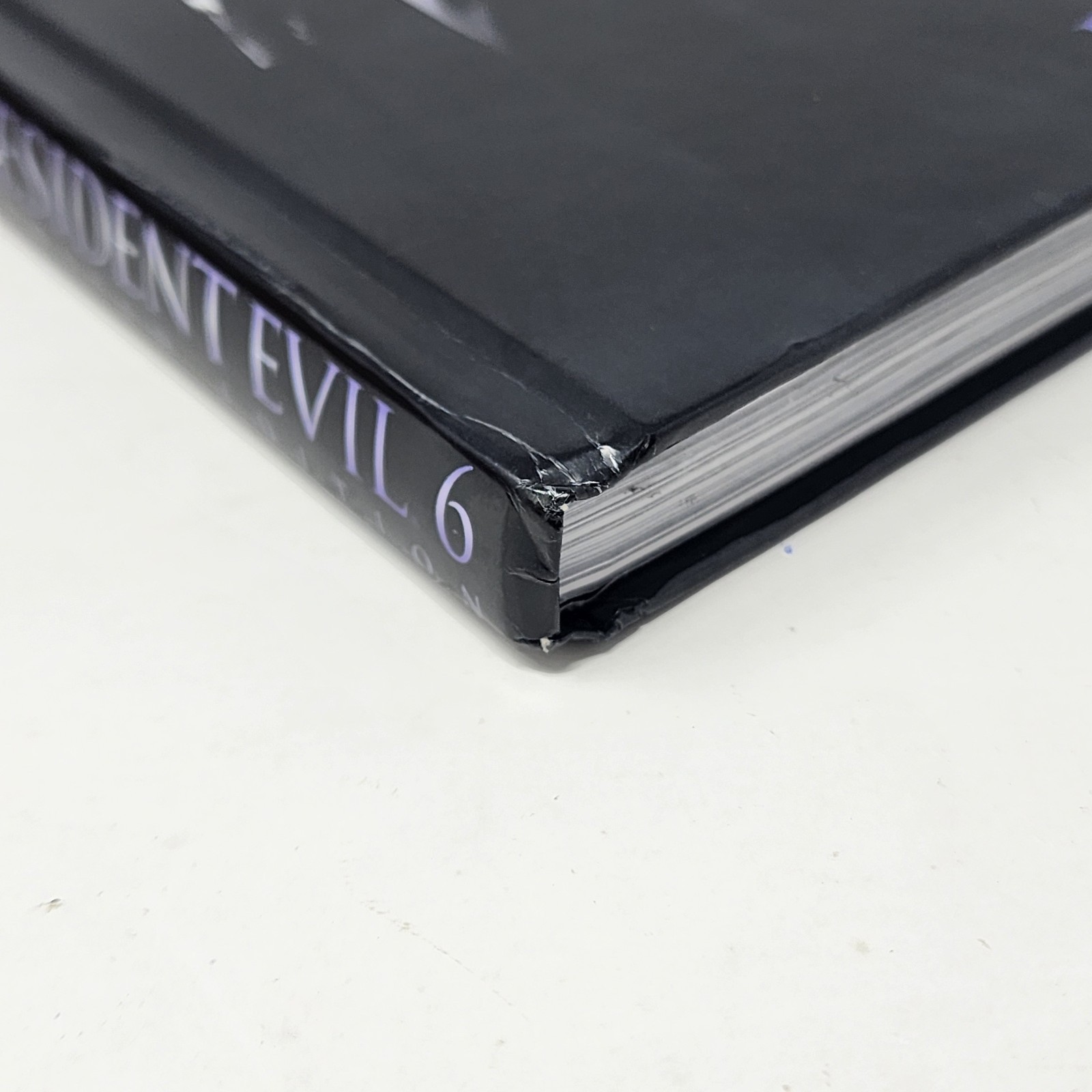 Resident Evil 6 Limited Edition Hardcover Strategy Guide PS3 Xbox 360 BradyGames