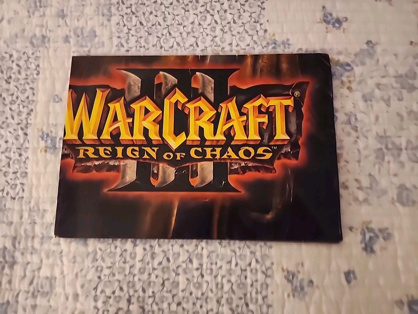 2002 Warcraft III Reign of Chaos Blizzard Entertainment Development Team Poster