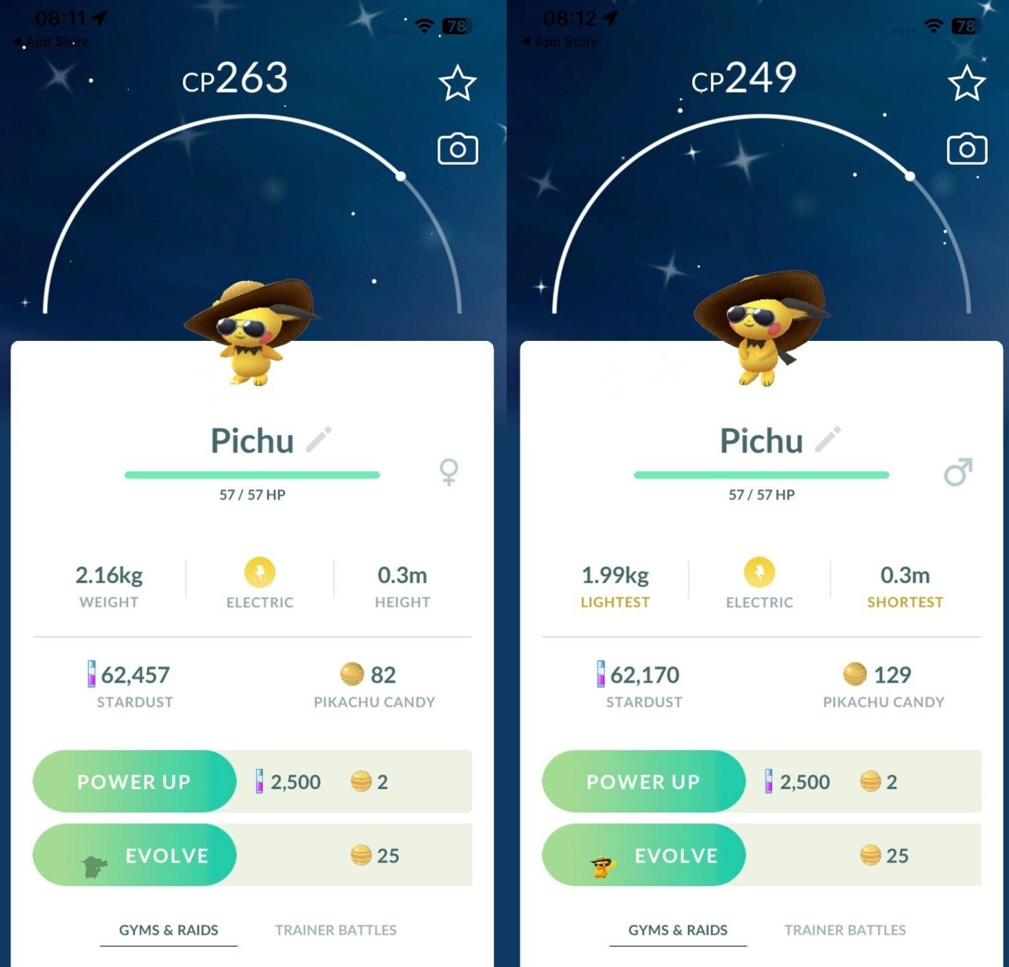 Shiny Pichu with summer flair hat costume Male Female – P T C – Read Description