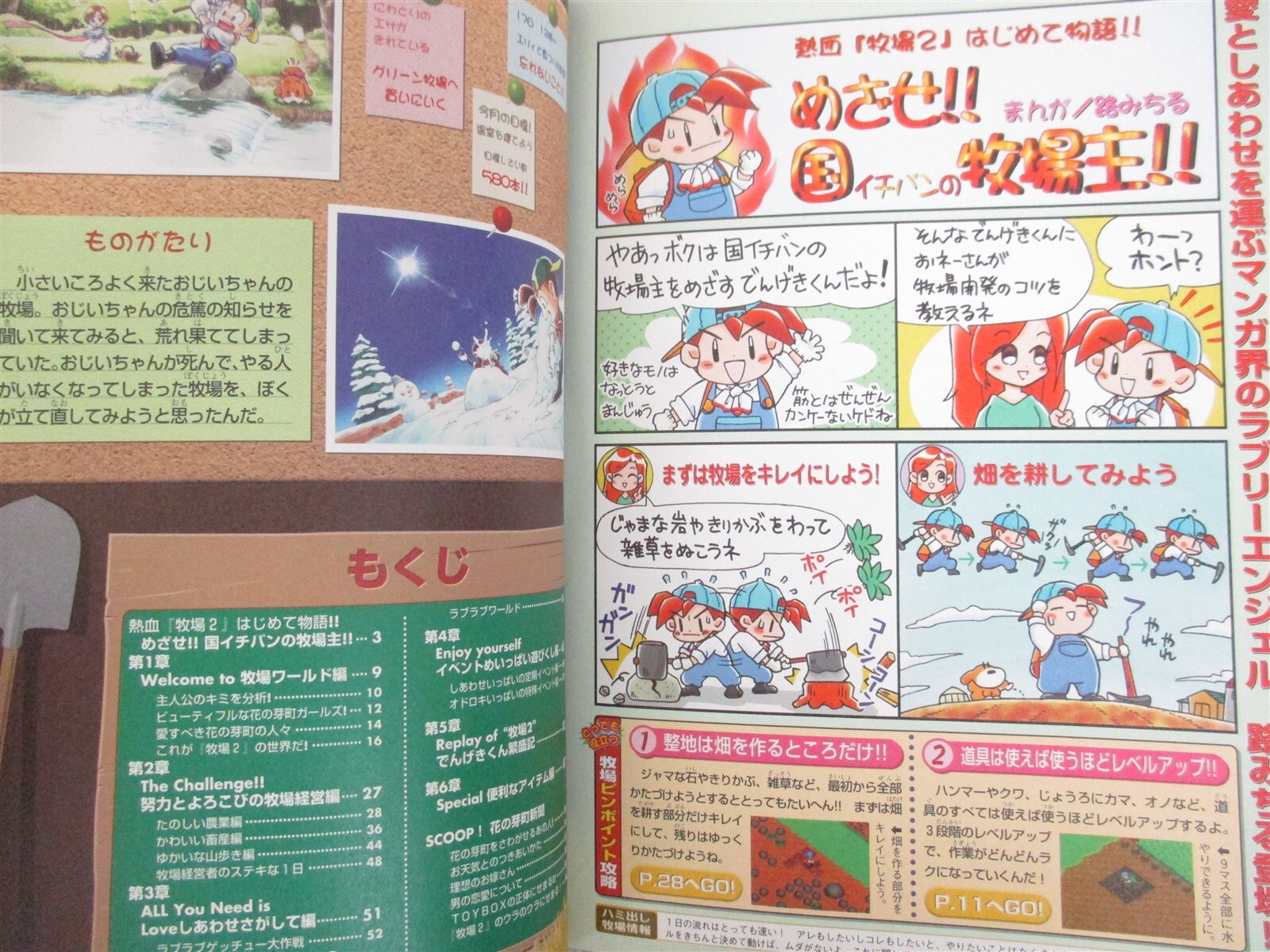 BOKUJOU MONOGATARI 2 Harvest Moon Guide Nintendo 64 Book 1999 Japan MW