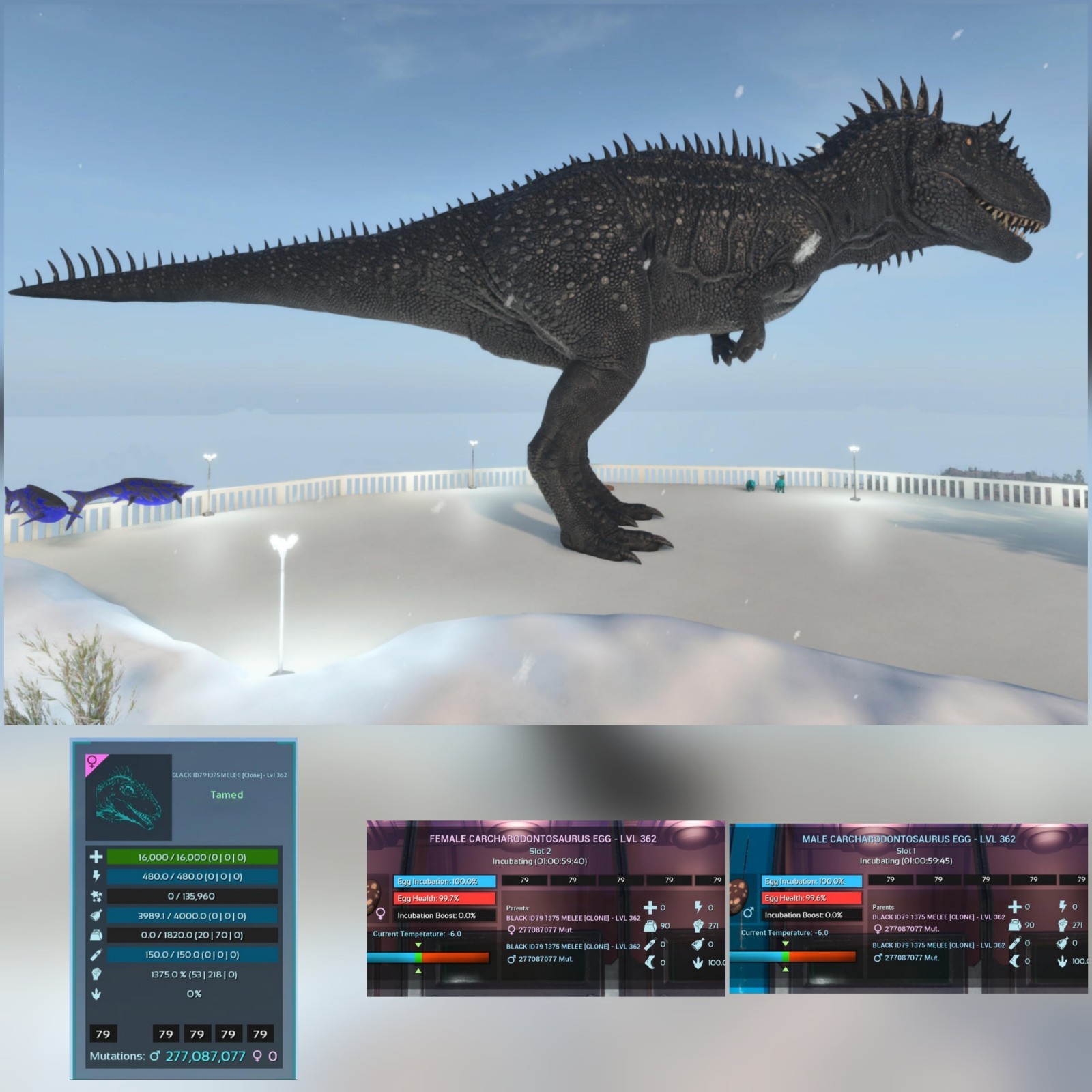 CARCHA FULL BLACK ID79 PAIR EGGS 1375 MELEE PVE ARK ASCENDED PVE PC/XBOX/PS5