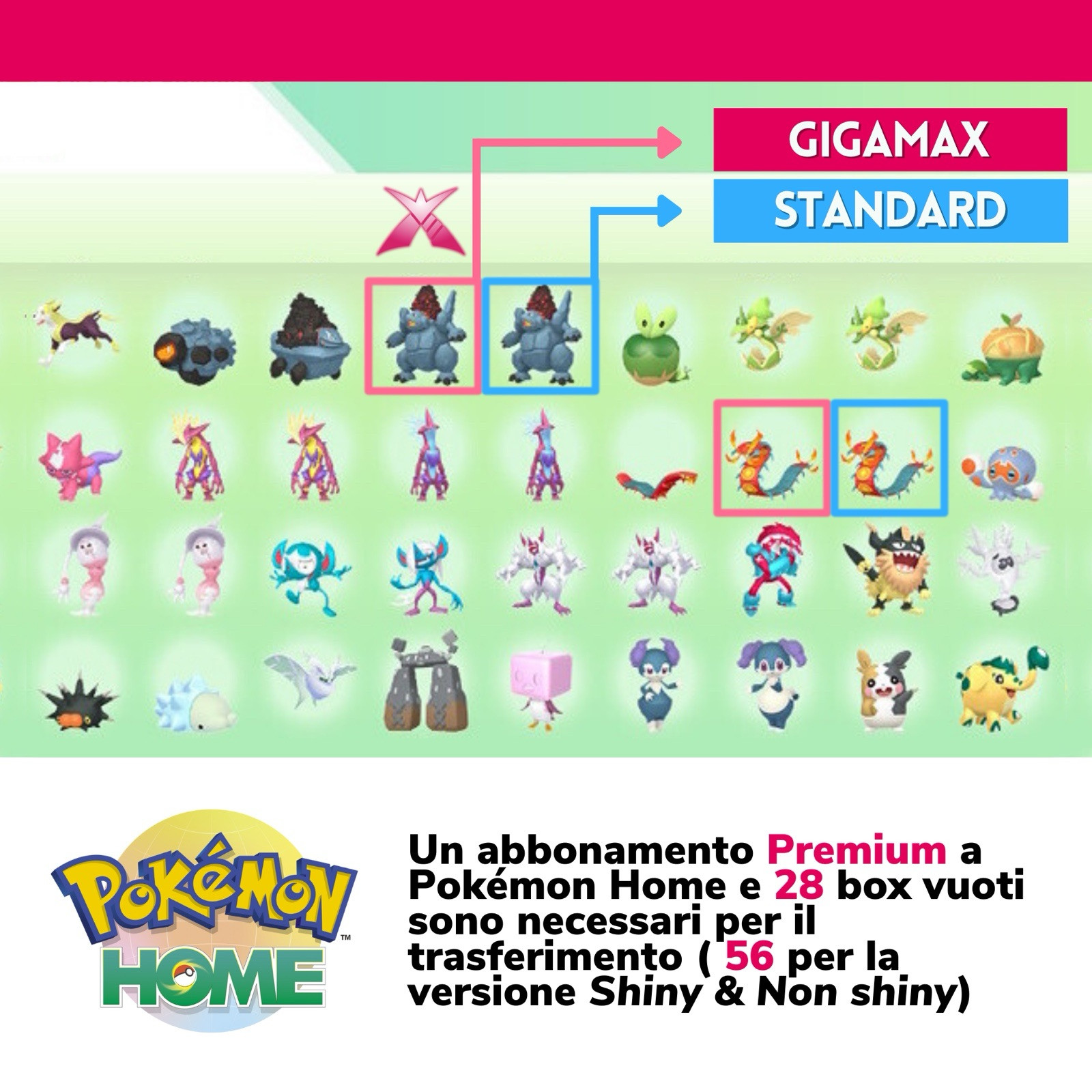 Pokémon HOME Shiny Living Dex Spada e Scudo Pokedex completo Galar 6IV Battle