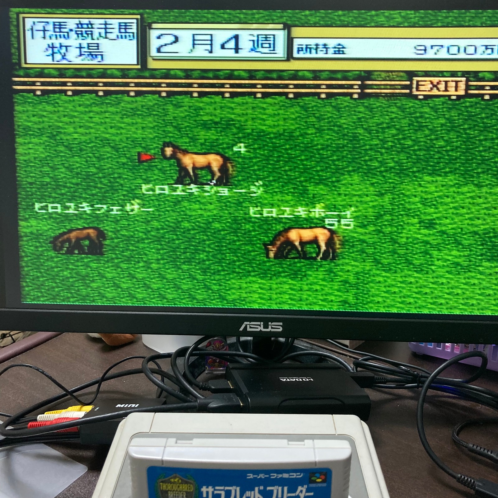 Thoroughbred Breeder　SFC SNES Tested&Working Nintendo Super Famicom Japan CIB