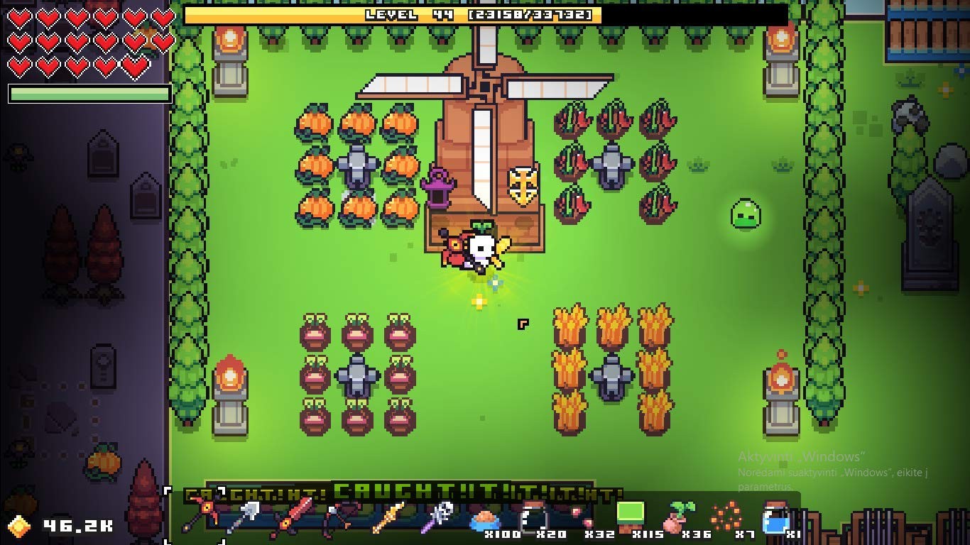 Forager – Nintendo Switch