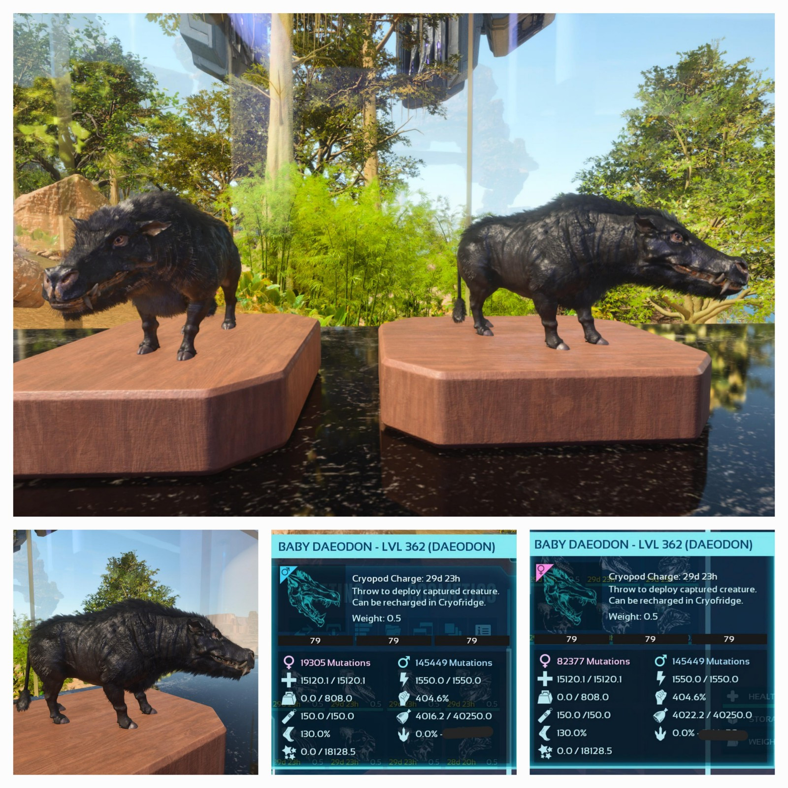 ARK ASCENDED PVE OFFICIAL PAIR BABY DAEODON BLACK ID79 TOP FOOD 40K PC/XBOX/PS5