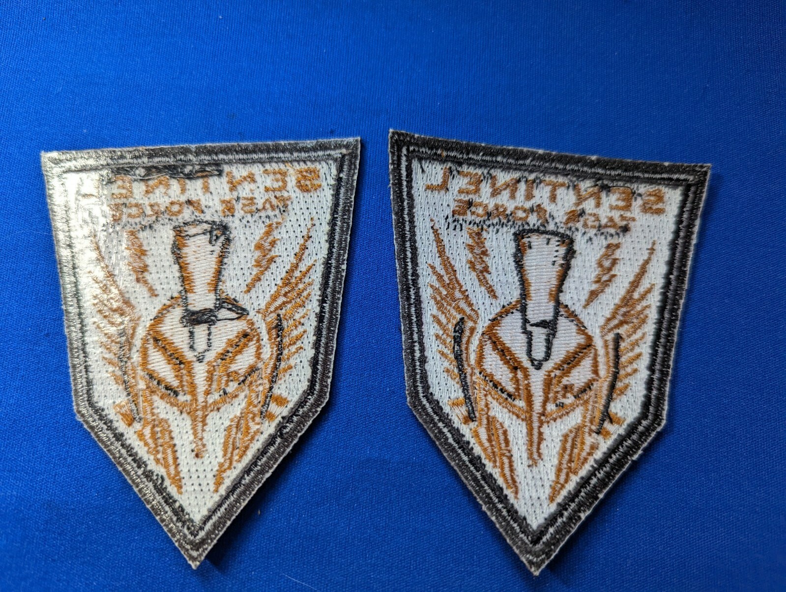 Lot of 2 Sentinel Task Force Embroidered Patches Call of Duty Advanced Warfare