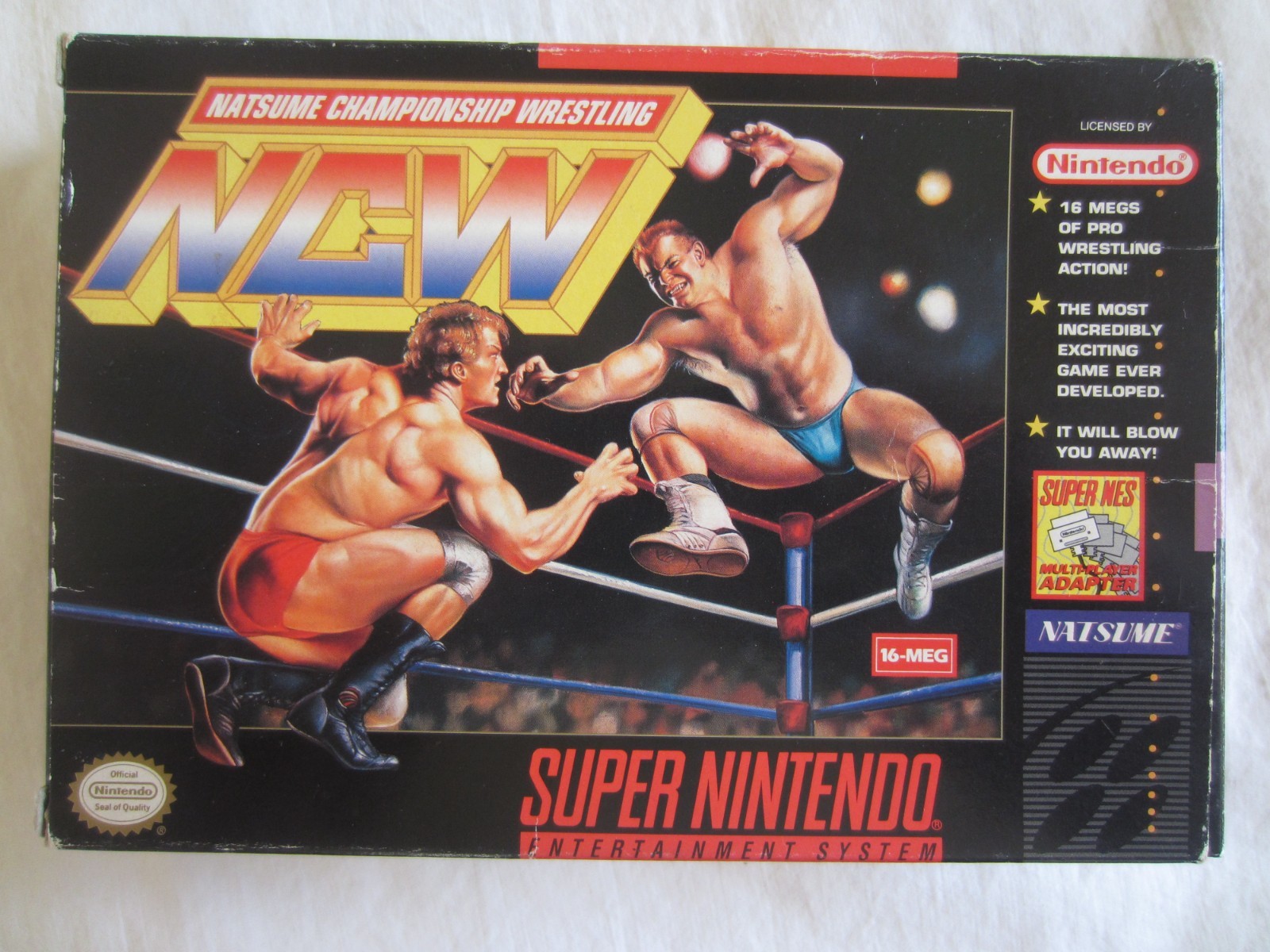 Natsume Championship Wrestling SNES Super Nintendo Complete 1994 Natsume RARE