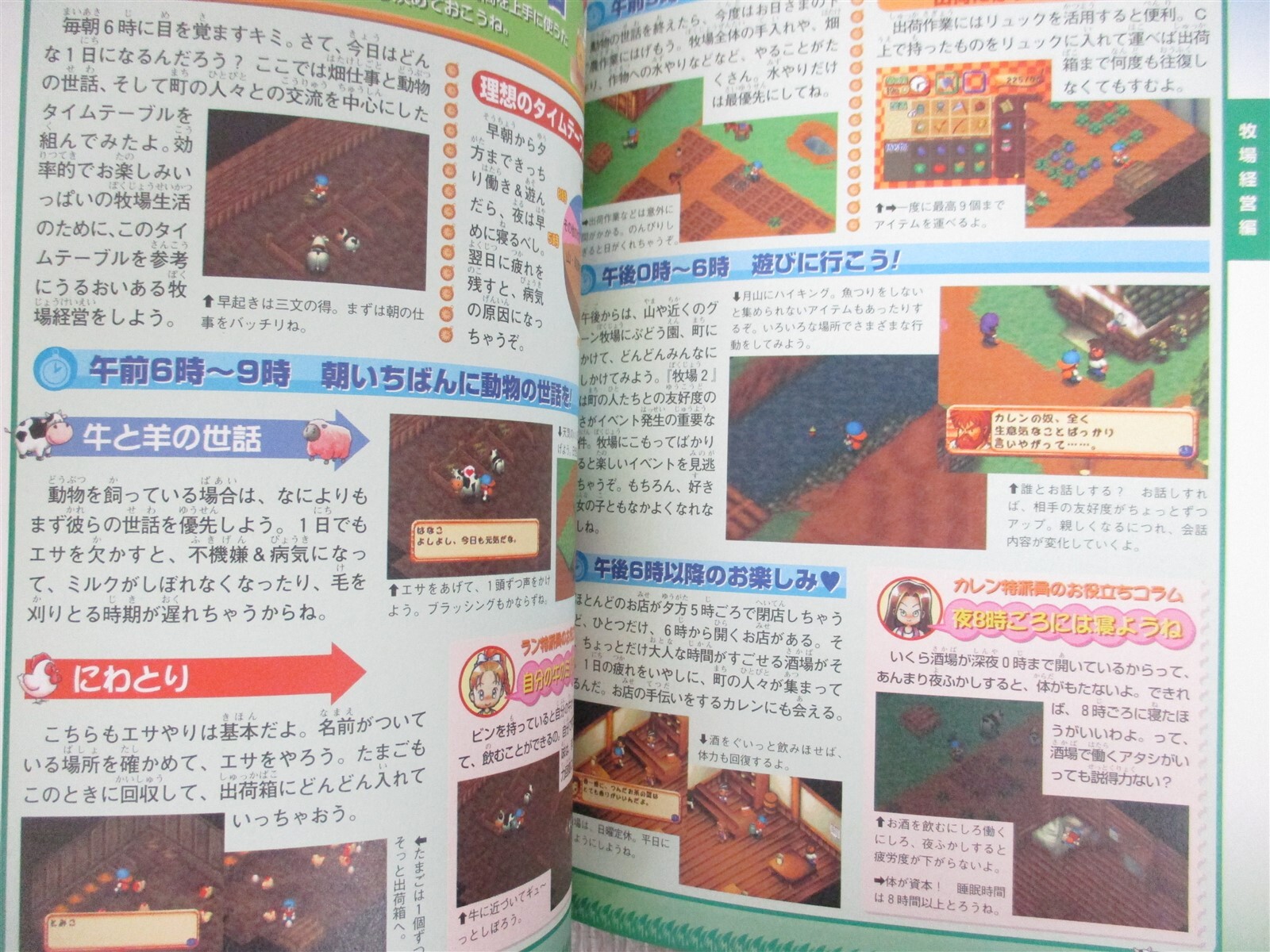 BOKUJOU MONOGATARI 2 Harvest Moon Guide Nintendo 64 Book 1999 Japan MW