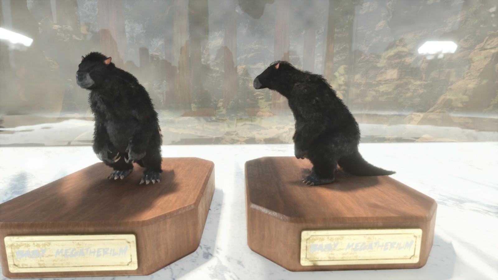 ARK ASCENDED PVE OFFICIAL PAIR BABY MEGATHERIUM BLACK #79 NEW TOP MELEE 1719%