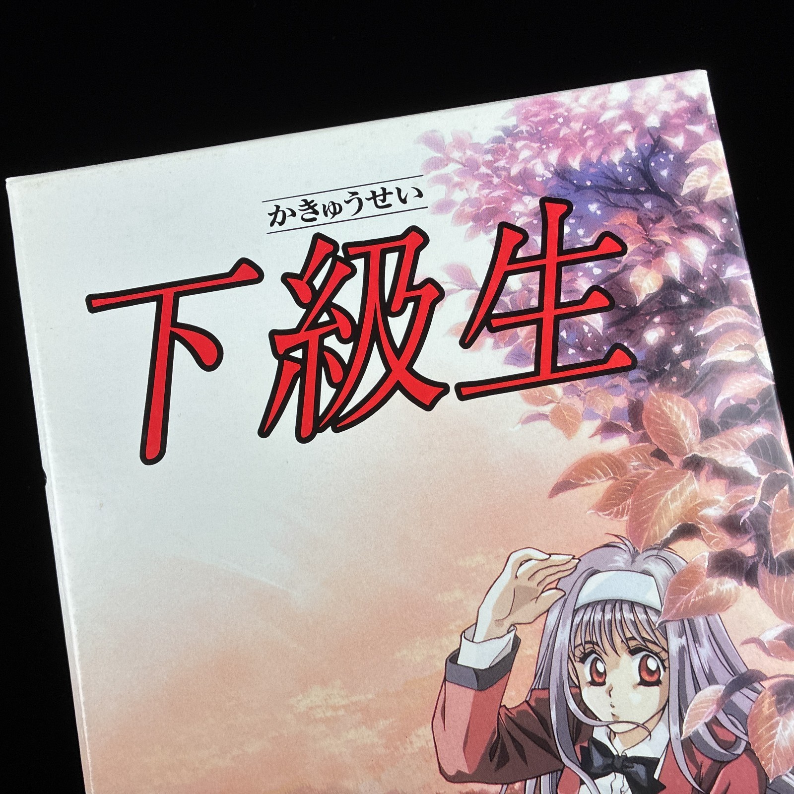 1996 elf Kakyuusei UnderClassmates PC-9801 PC98 3.5″ ADV VN Visual Novel Game