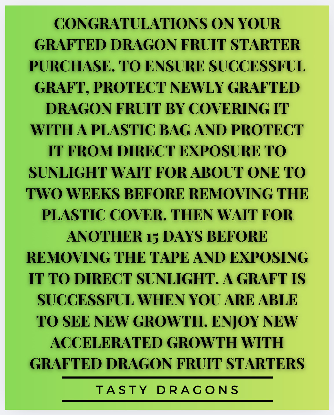Asunta 2 Dragon Fruit