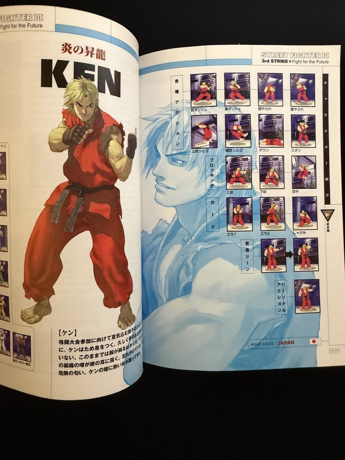 Street Fighter III Third Strike Fight for the Future Visual Guide Japanese