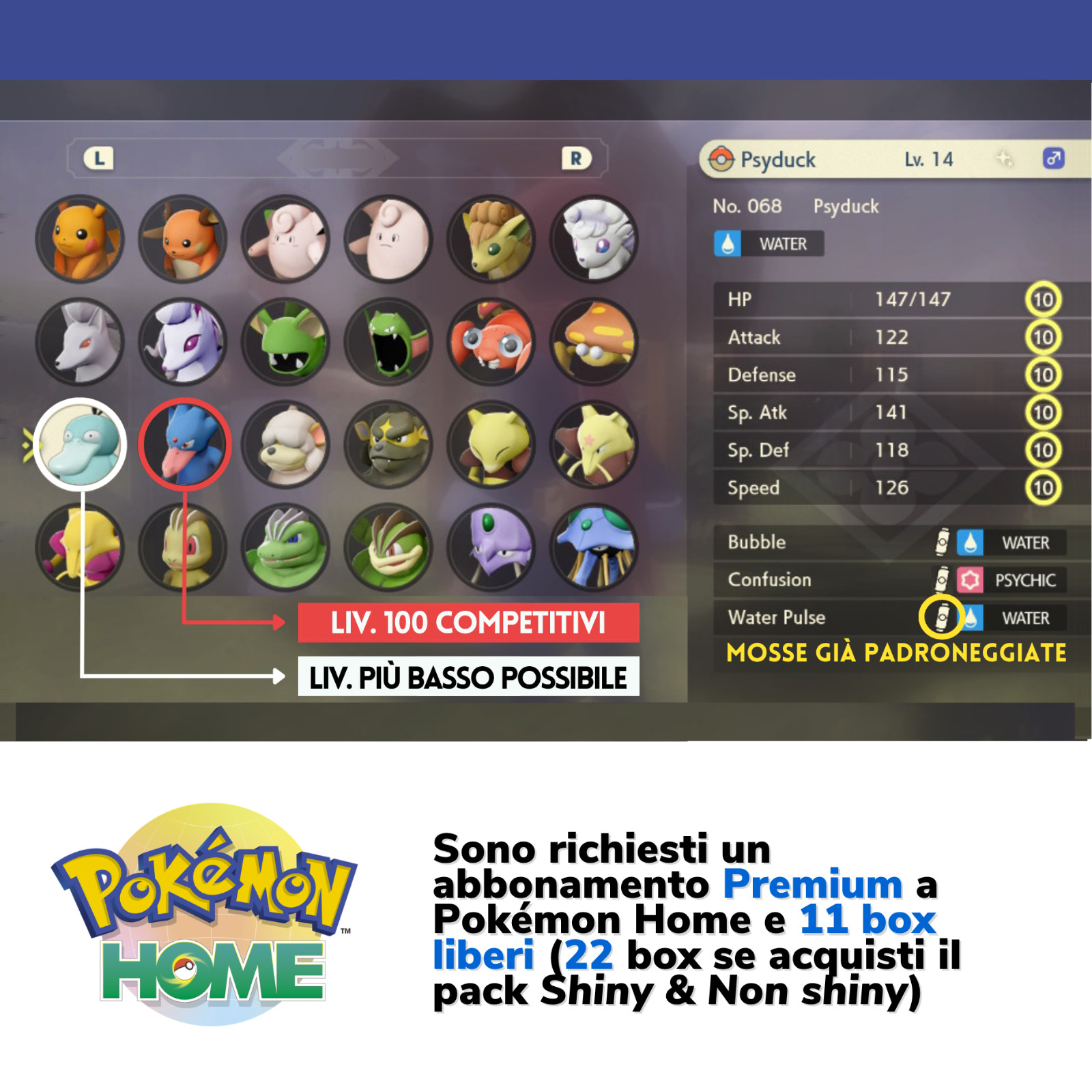 Pokemon Legends Arceus Pokedex Complete Alpha Pokemon Shiny Living Dex Home 6IV