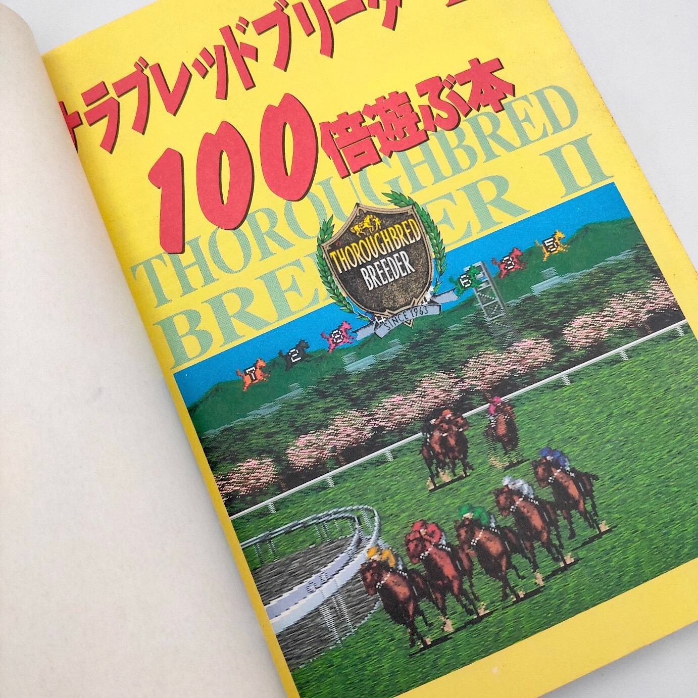 Thoroughbred Breeder 2 A book to play 100 times Guide Nintendo Super Famicom SFC
