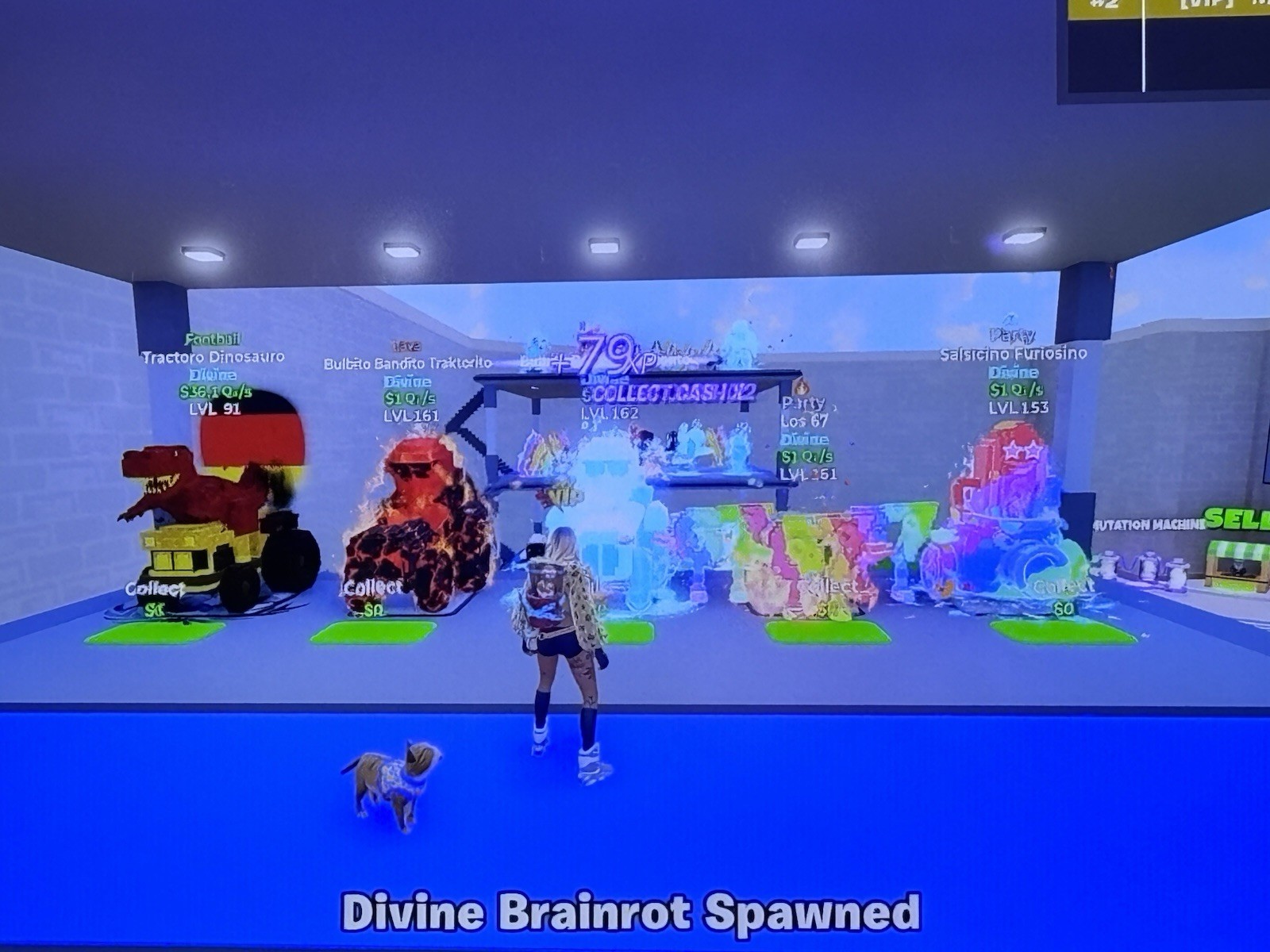 Go Up For Brainrots Read The Description(individual Prices)