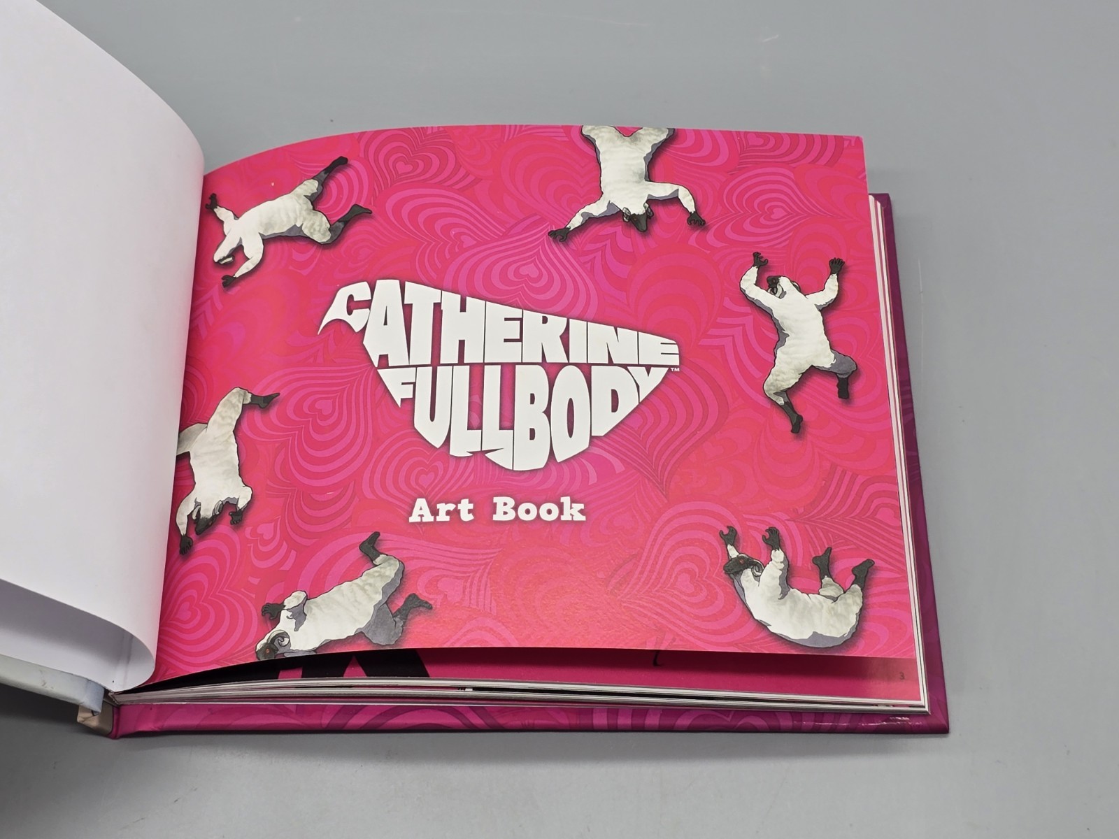 Catherine Full Body Heart Desire Premium Edition Art Book Only