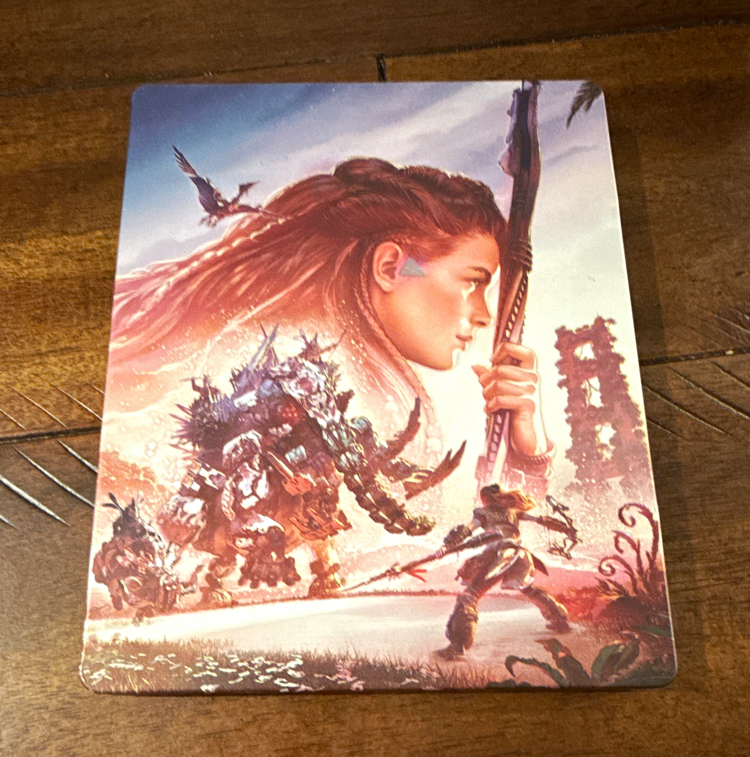 Sony Horizon Forbidden West PS5/PS4 SteelBook Case No Game